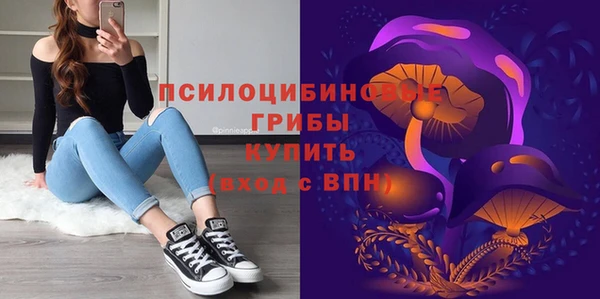 apvp Нефтекумск