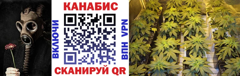 Каннабис тримм  Купить где  Мамадыш 